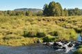 Fresh water river against a mountain background, Mount Kenya