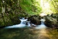 Fresh water in a small mountain stream Royalty Free Stock Photo