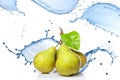 Fresh water splash on pears isolated Royalty Free Stock Photo