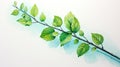 Fresh Watercolor Mint Sprig Leaves AI Generated