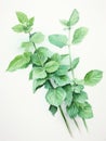 Fresh Watercolor Mint Sprig Leaves AI Generated