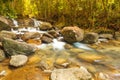 Fresh waterfall stream in the rainforest. Royalty Free Stock Photo