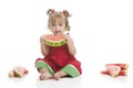 Fresh Watermelon Royalty Free Stock Photo