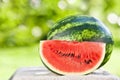 Fresh watermelon against natural background Royalty Free Stock Photo