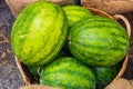 Fresh Watermelon in a basket, green and yellow watermelons in th Royalty Free Stock Photo