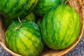 Fresh Watermelon in a basket, green and yellow watermelons in th Royalty Free Stock Photo