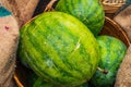 Fresh Watermelon in a basket, green and yellow watermelons in th Royalty Free Stock Photo