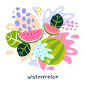 Fresh watermelon berry berries fruits juice splash organic food juicy melon splatter on abstract background