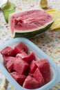 Fresh watermelon cubes Royalty Free Stock Photo