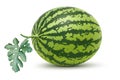 Fresh Watermelon and leaf