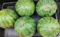 Fresh watermelon placed in a basket Royalty Free Stock Photo