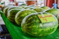 Fresh watermelon for sale at a farmers' market Royalty Free Stock Photo