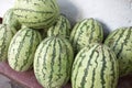 Fresh watermelon season in the market Royalty Free Stock Photo