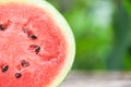 Fresh watermelon slice half on nature green background / Close up watermelon tropical fruit on table Royalty Free Stock Photo