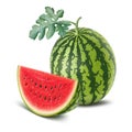 Fresh Watermelon and slice