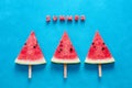 Fresh watermelon slices on sticks Royalty Free Stock Photo