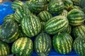 fresh watermelons are piled up in blue buckets