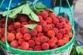 Fresh waxberry in the basket Royalty Free Stock Photo