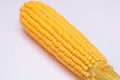 Raw corn on a white background,
