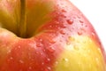 A fresh wet apple on white background Royalty Free Stock Photo