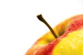 A fresh wet apple on white background Royalty Free Stock Photo