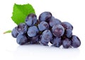 Fresh wet blue grapes with green leaf isolated on white backgrou Royalty Free Stock Photo