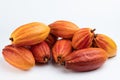 Fresh wet cacao pods cut Royalty Free Stock Photo