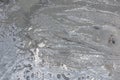 Fresh wet concrete floor textured background