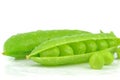 Fresh wet peas in a pea pod Royalty Free Stock Photo