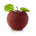 Fresh and wet red apple Royalty Free Stock Photo