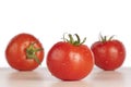 Fresh wet red tomatoes Royalty Free Stock Photo