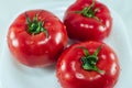 Fresh wet red tomatoes with drops of water on the white background. Royalty Free Stock Photo