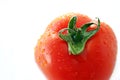Fresh wet tomato Royalty Free Stock Photo