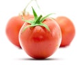 Fresh Wet Tomato Fruits Royalty Free Stock Photo