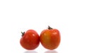 Fresh wet tomato fruits Royalty Free Stock Photo