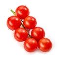 Fresh wet tomatoes Royalty Free Stock Photo