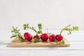 Fresh wet whole radishes with green leaves lie in a row on the cutting board over white table. Low calories healthy diet food