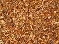 Fresh wet wood chip from alder tree, texture Royalty Free Stock Photo