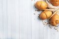 Fresh wheat bread rolls. Rolls for a hot dog or hamburger. White background copy space.