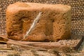 Fresh wheat bread Royalty Free Stock Photo