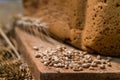 Fresh wheat bread Royalty Free Stock Photo