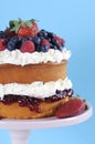 Fresh whipped cream and berries layer sponge cake - vertical. Royalty Free Stock Photo