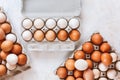 Fresh white and brown hen`s eggs in eco cardboard  tray on kitchen wood  countertop Royalty Free Stock Photo
