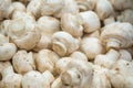 Fresh white button mushrooms on the farmers` market Royalty Free Stock Photo