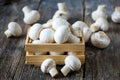 Fresh white button mushrooms Royalty Free Stock Photo