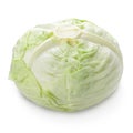 Fresh white cabbage whole head isolated on white with shadow, for your packaging design. Royalty Free Stock Photo