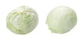 Fresh white cabbage whole head isolated, for your packaging design, set with two sides.