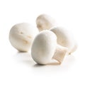 Fresh white champignon mushrooms Royalty Free Stock Photo