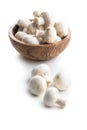 Fresh white champignon mushrooms