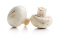 Fresh white champignon mushrooms Royalty Free Stock Photo